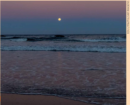 IMAGEM: lua cheia vista de uma praia. FIM DA IMAGEM.