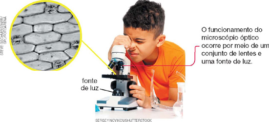IMAGEM: garotinho observando algumas células vegetais através de um telescópio. no destaque, as células parecem formar uma rede, todas conectadas. FIM DA IMAGEM.