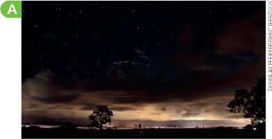 IMAGEM: paisagem durante a noite, com a silhueta de algumas árvores e o céu estrelado. FIM DA IMAGEM.