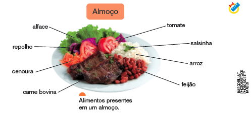 IMAGEM: Alimentos indicados como presentes em um almoço. Há na imagem: carne bovina, cenoura, repolho, alface, tomate, salsinha, arroz e feijão. FIM DA IMAGEM.