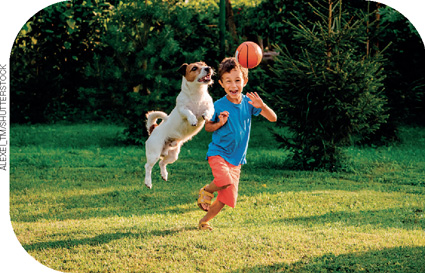 IMAGEM: menino brinca de jogar bola com seu cachorro em um gramado. FIM DA IMAGEM.