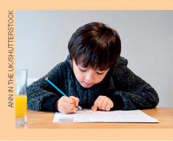 IMAGEM: garoto sentado em uma mesa. ele escreve em um caderno. FIM DA IMAGEM.