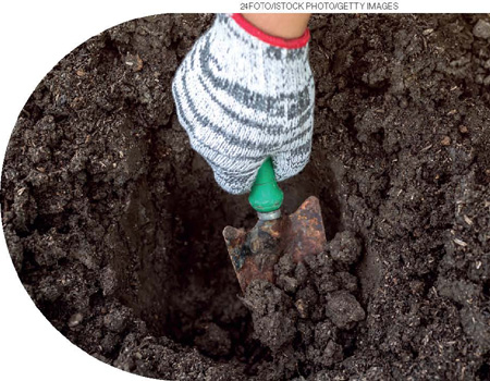 IMAGEM: pessoa cava um buraco na terra com uma pá. FIM DA IMAGEM.