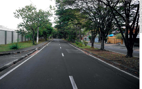 IMAGEM: rua asfaltada, com canteiros de árvores de ambos os lados e no meio da rua, separando as duas vias. FIM DA IMAGEM.