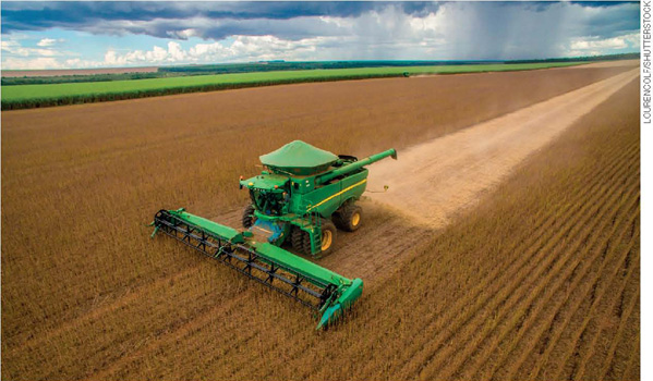 IMAGEM: grande máquina realizando a colheita de grãos em uma extensa plantação de soja. FIM DA IMAGEM.