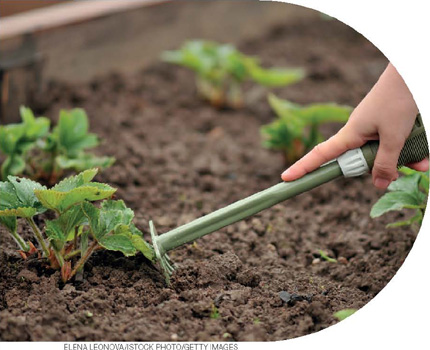 IMAGEM: pessoa prepara terra com garfo de jardinagem. FIM DA IMAGEM.