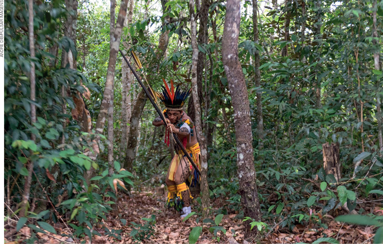 IMAGEM: um homem indígena com cocar, pinturas no corpo e vestes típicas empunha um grande arco e aponta a flecha no meio da floresta. FIM DA IMAGEM.