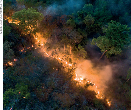 IMAGEM: uma longa faixa de fogo incendeia uma floresta. FIM DA IMAGEM.