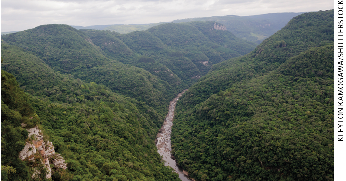 IMAGEM: um longo rio entre montanhas encobertas por vegetação e árvores. FIM DA IMAGEM.