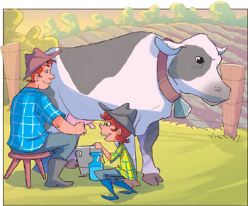 IMAGEM: pedro e seu pai tiram leite de uma vaca. FIM DA IMAGEM.
