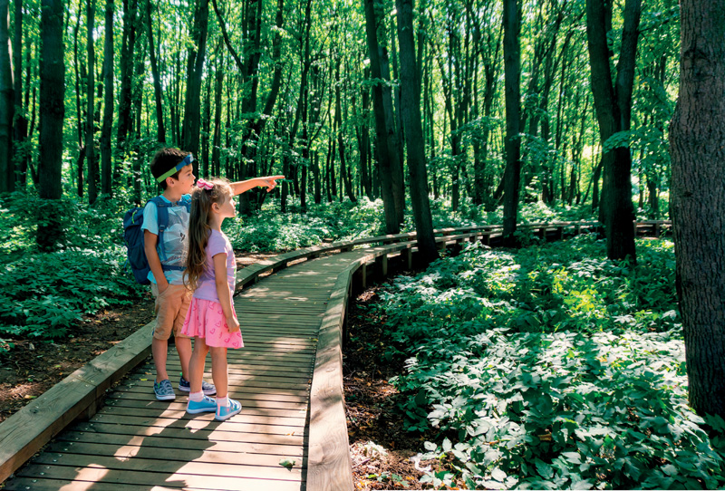 IMAGEM: um menino e uma menina em uma trilha de madeira no meio de árvores e plantas. FIM DA IMAGEM.