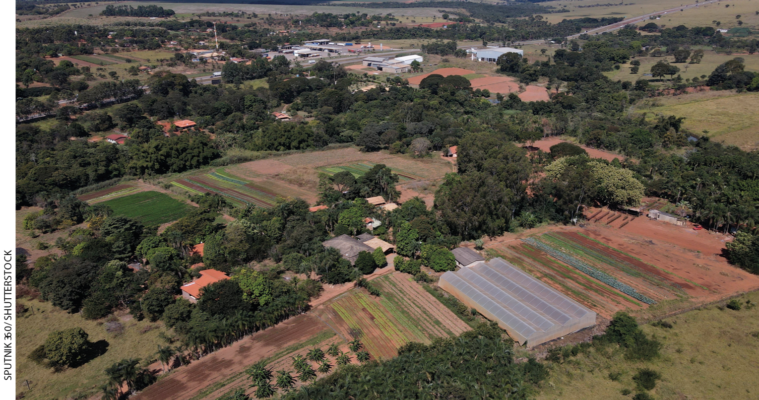 IMAGEM: imagem aérea de uma extensa área com vegetação, diversas porções com cultivos e solo exposto. FIM DA IMAGEM.