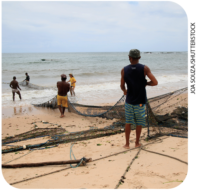 IMAGEM: homens em uma praia puxam uma grande rede de pesca do mar. FIM DA IMAGEM.