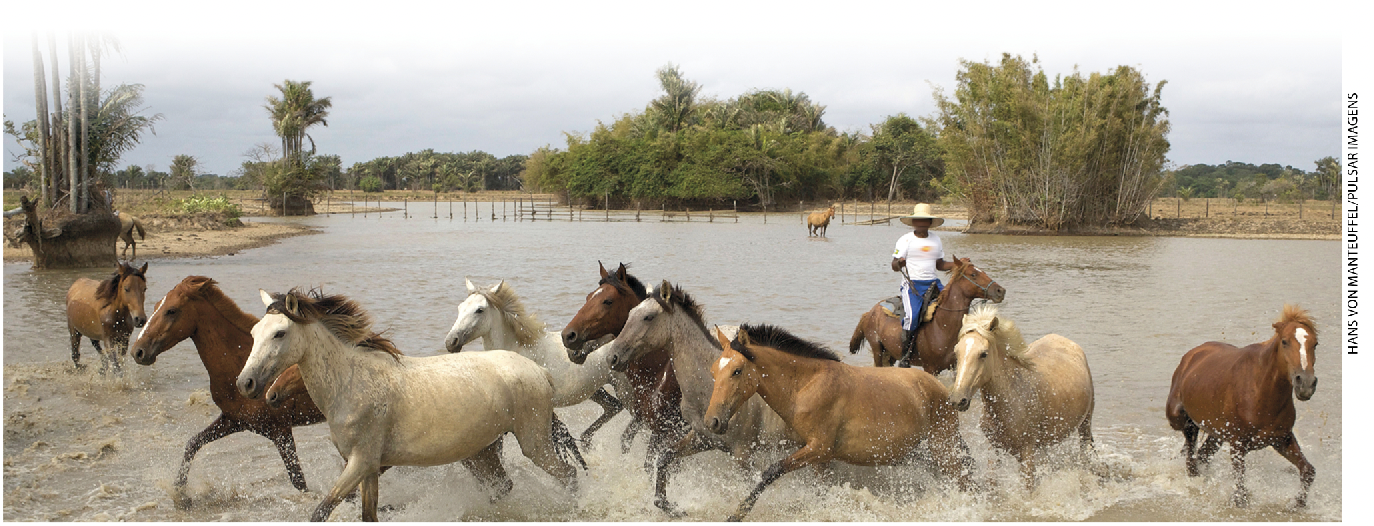 IMAGEM: um homem a cavalo conduz outros cavalos para que atravessem um lago raso. FIM DA IMAGEM.
