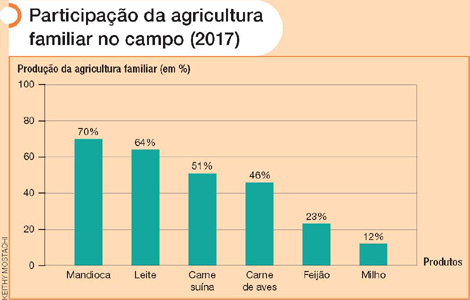 IMAGEM: um gráfico do i, b, g, e mostra as porcentagens da produção de mandioca, leite, carne suína, carne de aves, feijão e milho, realizada pela agricultura familiar em 2017. mandioca, 70 por cento. leite, 64 por cento. carne suína, 51 por cento. carne de aves, 46 por cento. feijão, 23 por cento. milho, 12 por cento. FIM DA IMAGEM.