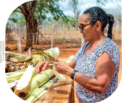 IMAGEM: uma mulher idosa manipula fibras de bananeira. em cima de uma bancada há troncos de bananeira preparados para a retirada da fibra. FIM DA IMAGEM.