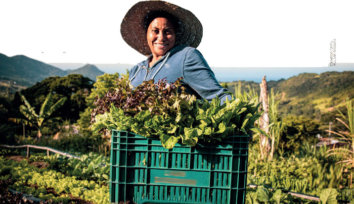 IMAGEM: mulher com um chapéu de palha e abas largas sorri e segura uma caixa de plástico com alfaces e outras hortaliças em uma paisagem rural. FIM DA IMAGEM.