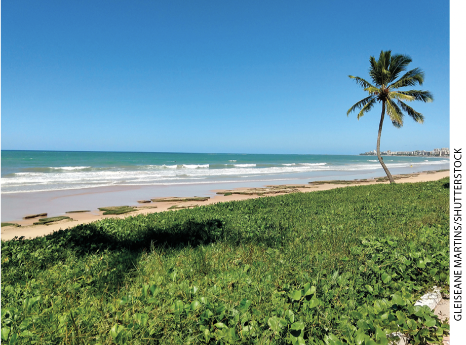 IMAGEM: item a. paisagem litorânea mostrando o mar, um trecho de praia, coqueiro e gramíneas. FIM DA IMAGEM.