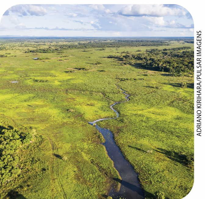 IMAGEM: item 3. vista aérea de uma paisagem sem relevos, coberta de vegetação e com um rio no centro. FIM DA IMAGEM.