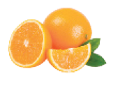 IMAGEM: laranjas. FIM DA IMAGEM.