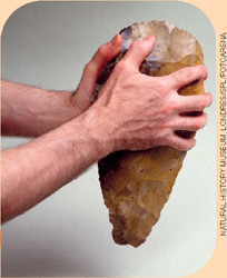 IMAGEM: duas mãos seguram um artefato de pedra em formato oval. FIM DA IMAGEM.