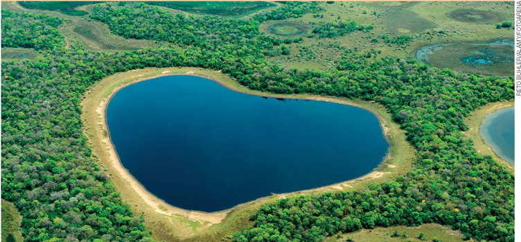 IMAGEM: fotografia aérea do pantanal, com lagoas e vasta vegetação. FIM DA IMAGEM.
