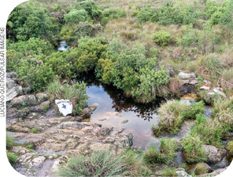IMAGEM: fotografia de um estreito e raso curso de água sobre um leito de pedras, cercado por vegetação rasteira. FIM DA IMAGEM.
