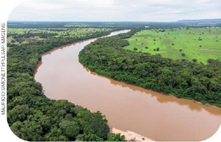 IMAGEM: fotografia aérea de um trecho onde o rio araguaia forma uma curva. suas margens são cobertas por uma mata densa. FIM DA IMAGEM.