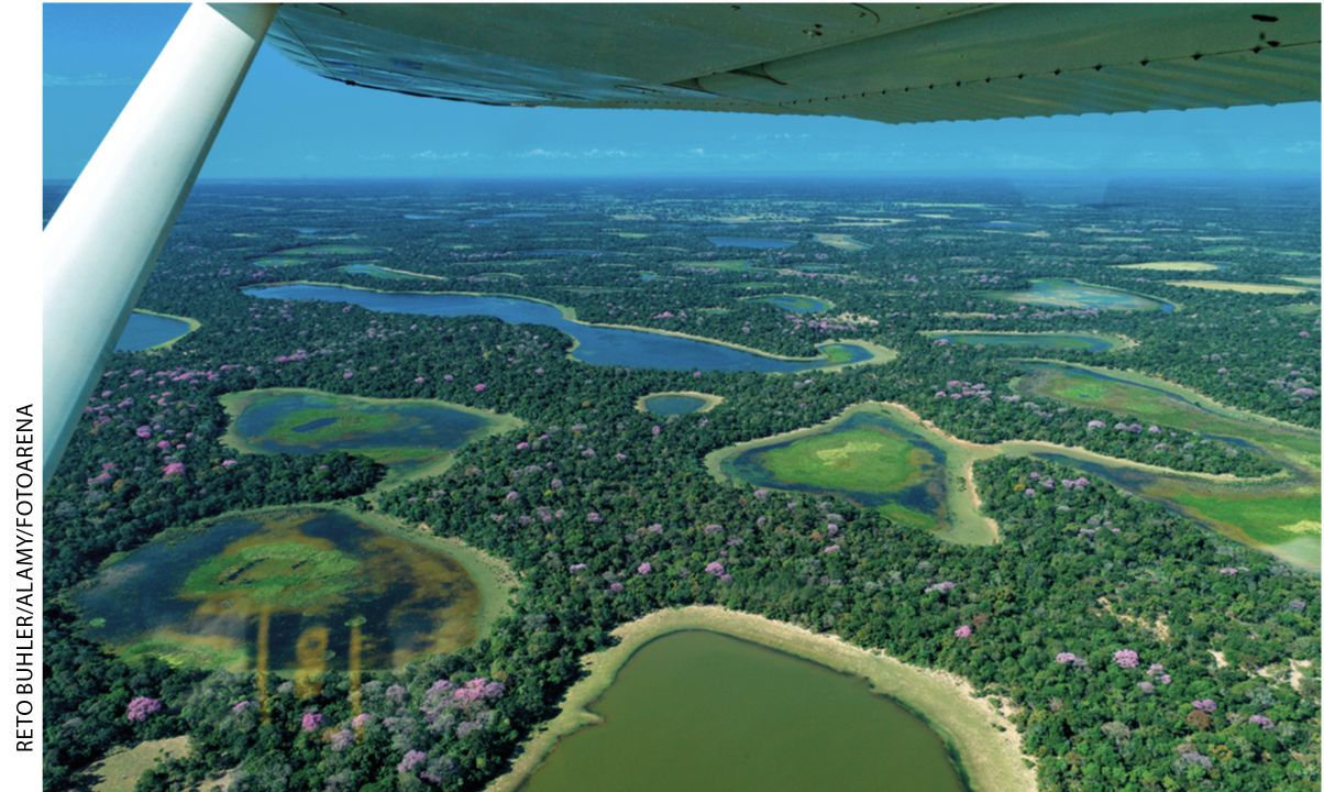 IMAGEM: fotografia aérea do pantanal, com diversos lagos e vasta vegetação. FIM DA IMAGEM.