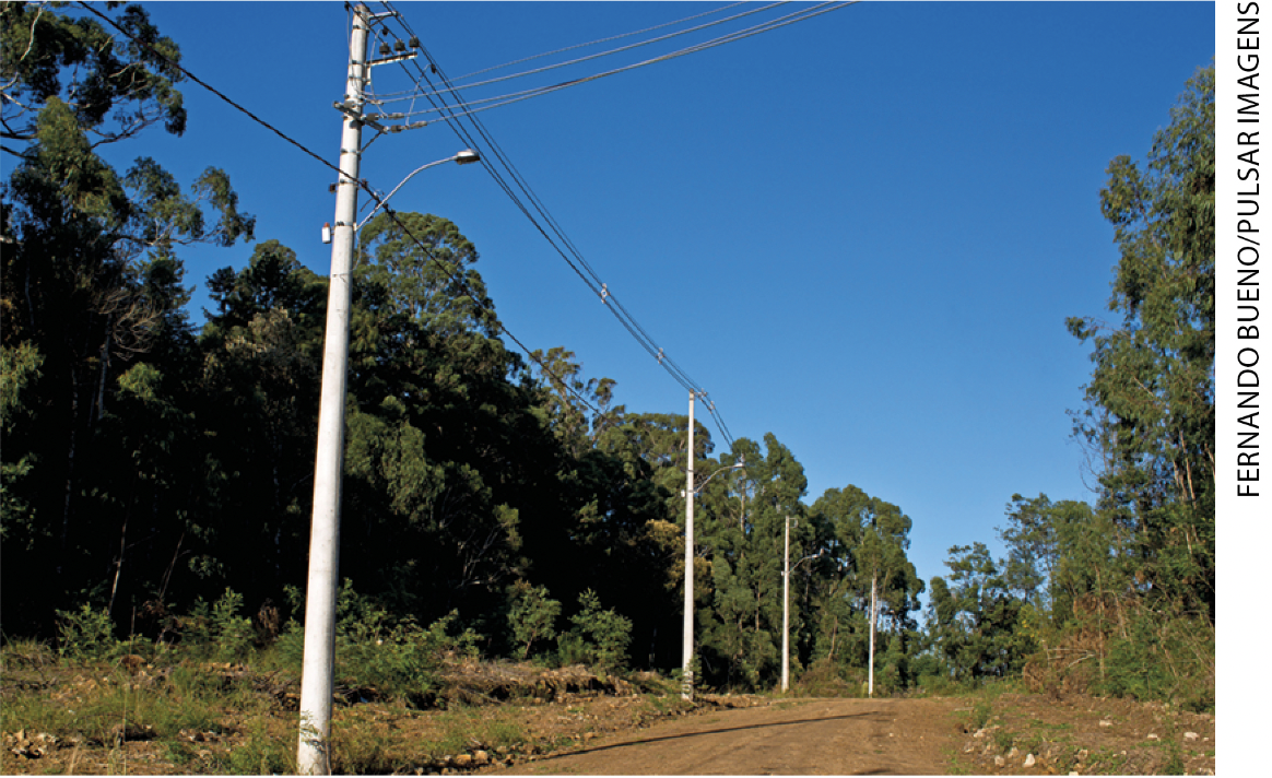 IMAGEM: item a. postes de iluminação pública em uma estrada de terra ladeada por árvores. FIM DA IMAGEM.