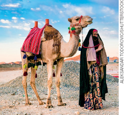 IMAGEM: mulher guiando um camelo em uma paisagem desértica ao fundo da fotografia. ela veste um tipo de túnica que cobre desde a cabeça até os pés. FIM DA IMAGEM.