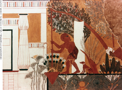 IMAGEM: pintura antiga de um homem tirando água de um rio, ele usa uma cesta presa a um bastão comprido. ao fundo, é ilustrado construções com características egípcias e vegetação como árvores e plantas. FIM DA IMAGEM.
