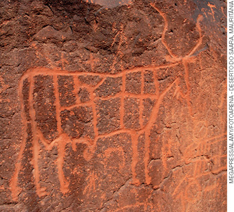 IMAGEM: desenho rupestre. um bovino esculpido de modo rudimentar, sobre uma parede de pedra. FIM DA IMAGEM.