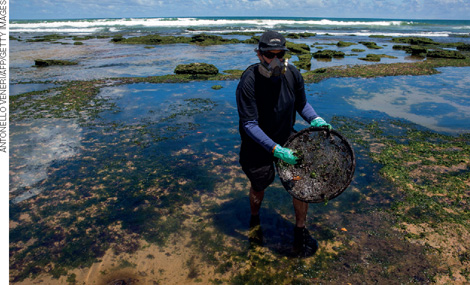 IMAGEM: um homem usando roupas especiais está dentro de uma parte rasa do oceano, ele retira com o auxílio de uma peneira nas mãos o óleo derramado na água. FIM DA IMAGEM.