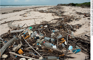 IMAGEM: embalagens de alimentos, garrafas de plástico e entre outros descartados sem cuidado em uma praia. FIM DA IMAGEM.