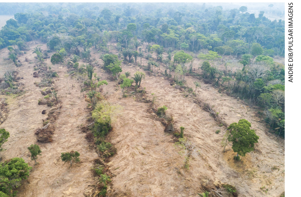 IMAGEM: registro aéreo de uma grande parte da floresta amazônica vítima do desmatamento. FIM DA IMAGEM.
