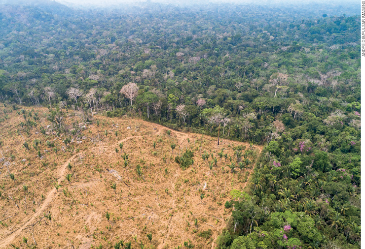IMAGEM: registro aéreo de uma grande área desmatada. nota-se um terreno plano com quase nenhuma vegetação em meio da densa vegetação da selva. FIM DA IMAGEM.