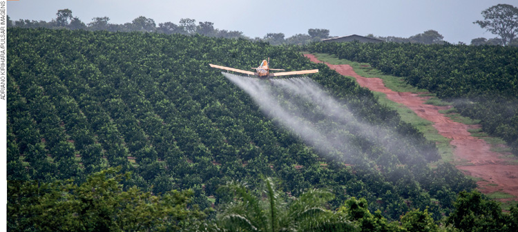 IMAGEM: avião sobrevoando uma plantação jogando produtos químicos sobre ela. FIM DA IMAGEM.