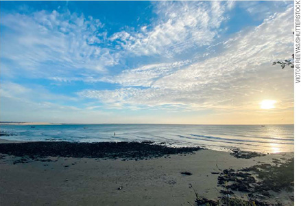 IMAGEM: paisagem de uma praia, com algas na areia, o oceano ao fundo, céu azul com algumas nuvens e o sol se pondo no horizonte. FIM DA IMAGEM.