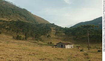 IMAGEM: uma casa de campo simples, com montanhas, coqueiros e muitas árvores no entorno. ao redor da construção, há animais pastando. FIM DA IMAGEM.