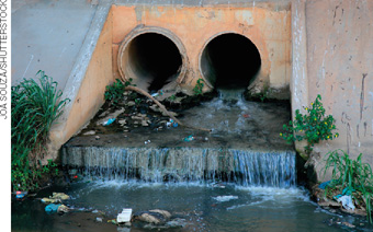 IMAGEM: dois grandes tubos, de onde sai o esgoto que é despejado em um rio poluído com pequenas plantas ao redor. FIM DA IMAGEM.