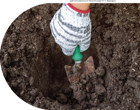 IMAGEM: uma pessoa usa uma ferramenta para cavar à terra e fazer um buraco. FIM DA IMAGEM.