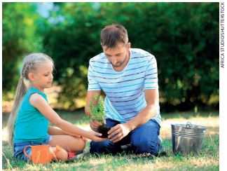 IMAGEM: letra c: uma criança e um adulto plantam uma muda em um gramado. ao redor deles há um balde de metal, um regador de plástico e árvores ao fundo. FIM DA IMAGEM.