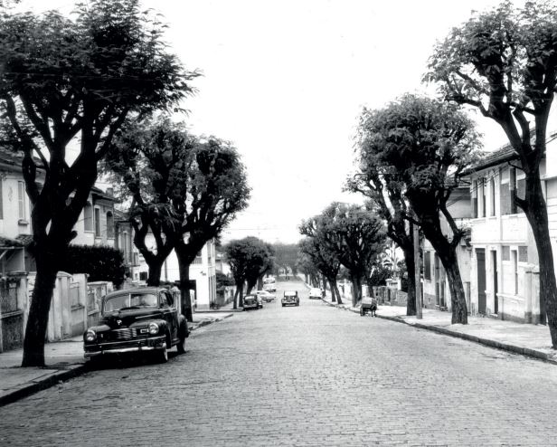 IMAGEM: a fotografia antiga e em preto e branco mostra uma rua larga, cercada por árvores nas calçadas e poucos carros trafegando pela via de paralelepípedos. em ambos os lados, há casarões e sobrados. FIM DA IMAGEM.