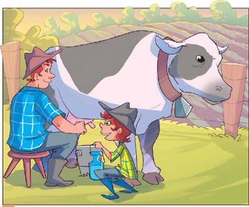 IMAGEM: pedro está agachado ao lado de uma vaca no pasto, ajudando seu pai a tirar leite do animal. pedro e seu pai usam chapéus, botas e camisetas xadrez. FIM DA IMAGEM.