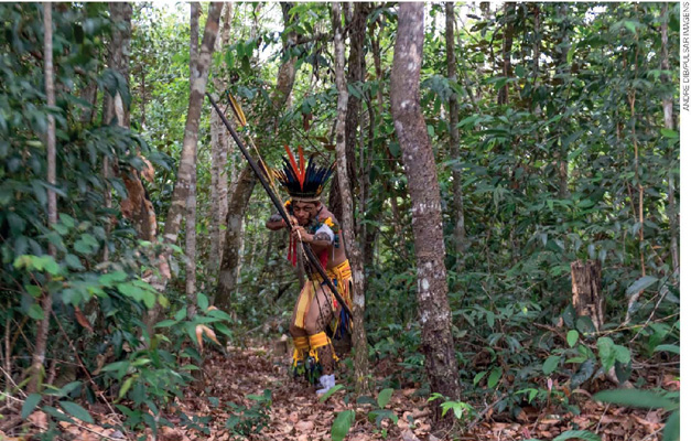 IMAGEM: homem indígena caçando na mata usando arco e flecha. ele usa um cocar de penas na cabeça, uma tanga amarela e possui pinturas no corpo e panos ao redor das pernas e dos braços. FIM DA IMAGEM.