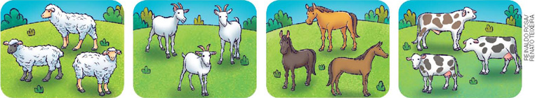 IMAGEM: ovelhas em um pasto. cabras em um pasto. cavalos em um pasto. vacas em um pasto. FIM DA IMAGEM.