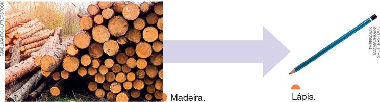 IMAGEM: troncos de madeira cortados e empilhados. ao lado, uma seta indica um lápis. FIM DA IMAGEM.