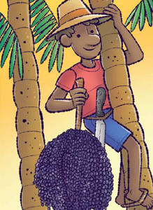 IMAGEM: homem subindo em uma árvore para colher açaí, uma fruta pequena e redonda, que dá em grande quantidade no pé. FIM DA IMAGEM.