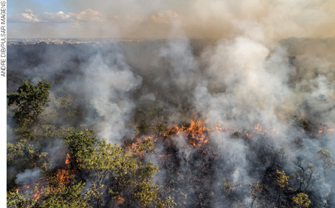 IMAGEM: vista aérea de uma área de vegetação pegando fogo. FIM DA IMAGEM.
